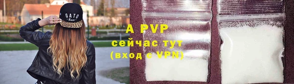 a pvp Абаза