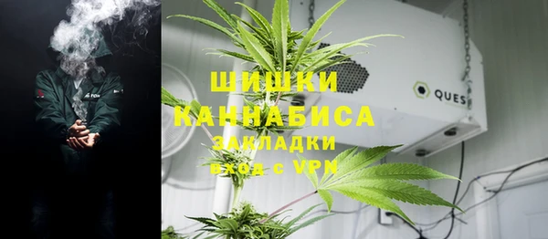 крисы Абдулино