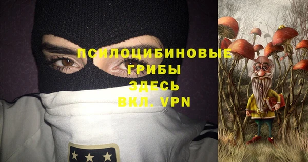 крисы Абдулино