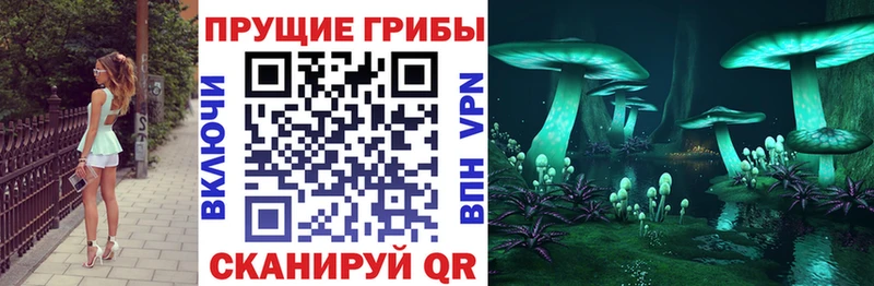 Псилоцибиновые грибы Magic Shrooms  купить закладку  Псков 